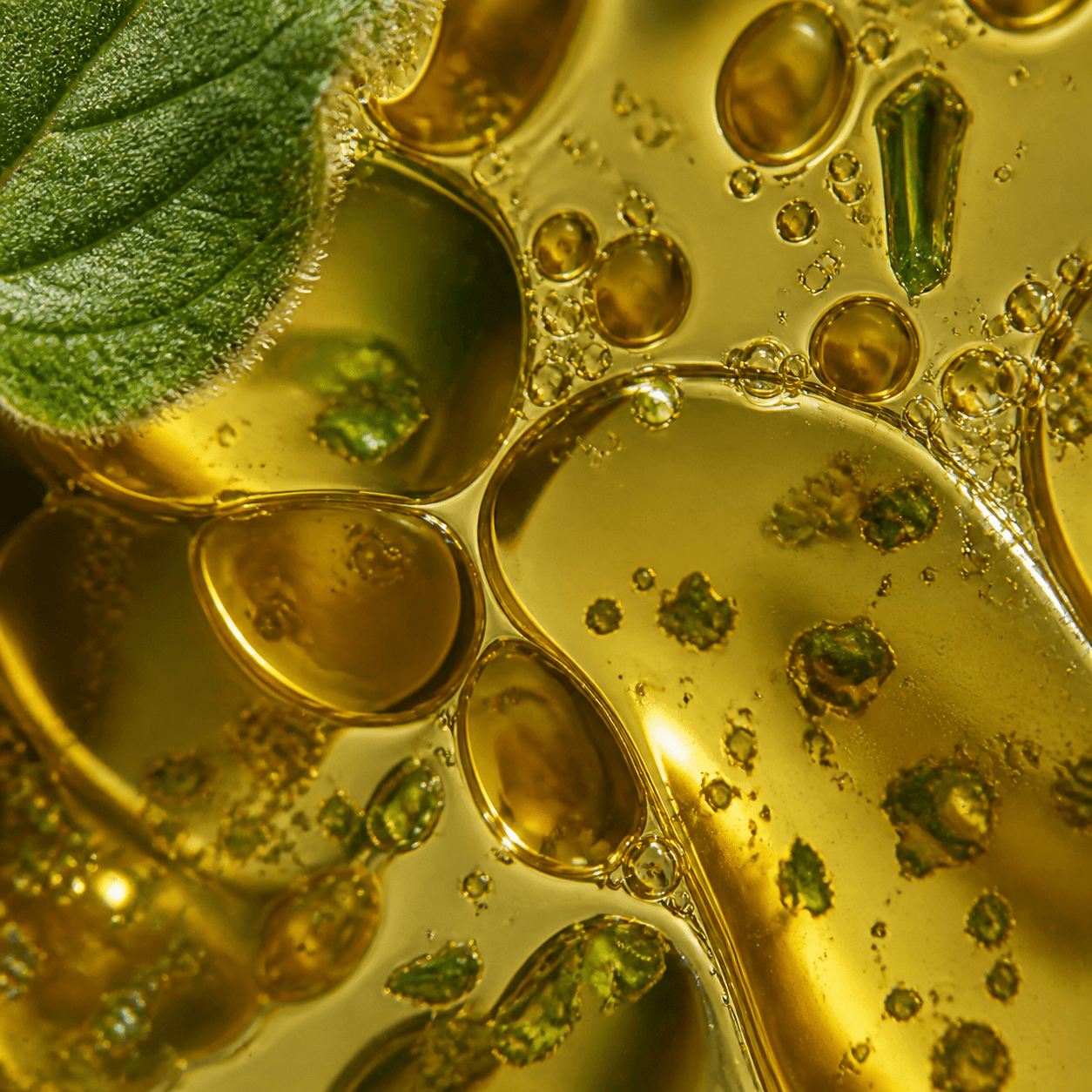 Golden oregano oil droplets with a fresh oregano leaf